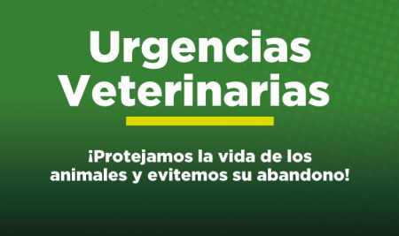 Urgencias Veterinarias