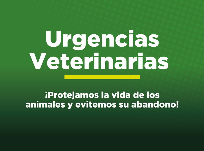 Urgencias veterinaria uniremington