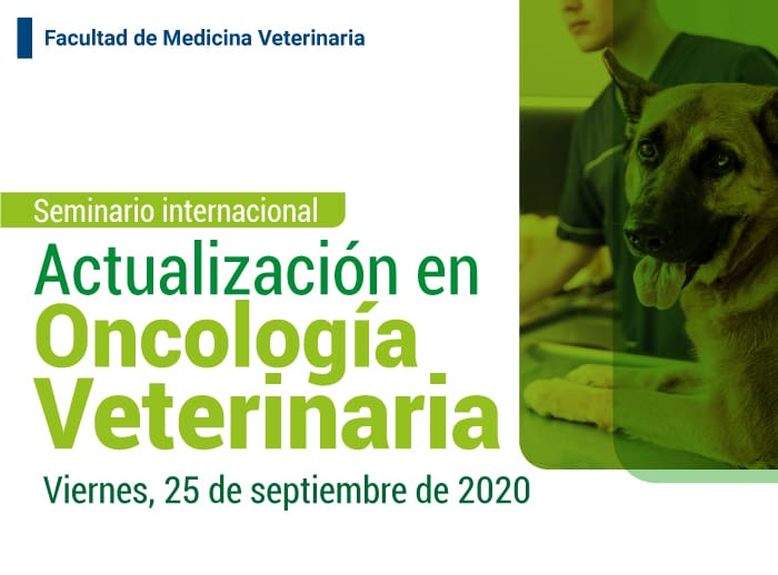 actualizacion en oncologia veterinaria