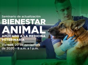 Bienestar-animal-aplicado-a-la-medicina-veterinaria