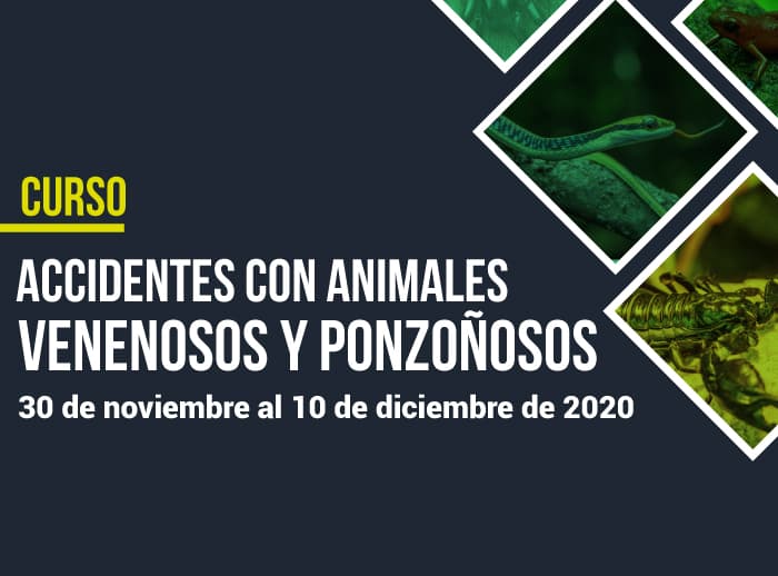 Accidentes-con-animales-venenosos