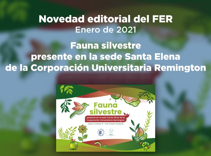 Novedad-editorial-del-FER---Enero-de-2021