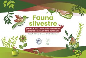 Portada_Fauna_silvestre_2020