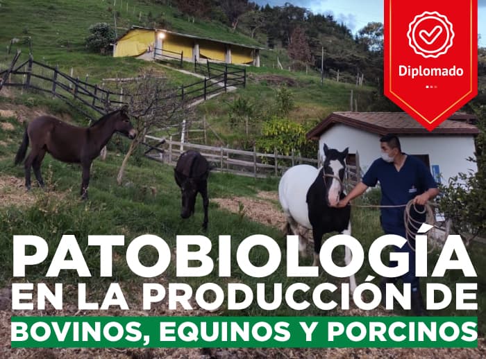 Diplomado-Patobiología