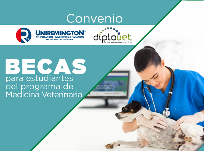 Becas-estudiantes-diplovet