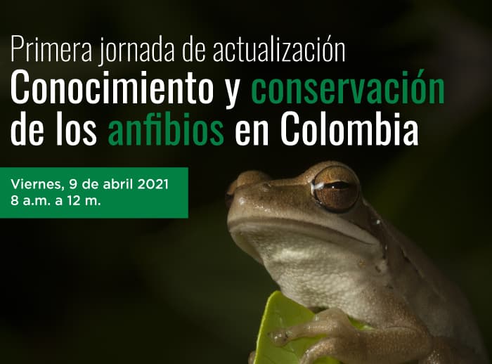 Jornada-de-actualización-conservación-anfibios