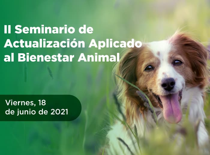 II-SEMINARIO-BIENESTAR-ANIMAL