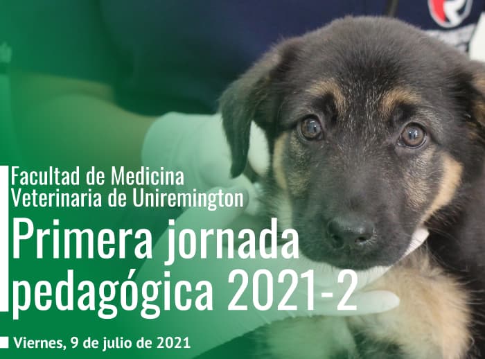 Jornada-pedagógica-de-medicina-veterinaria