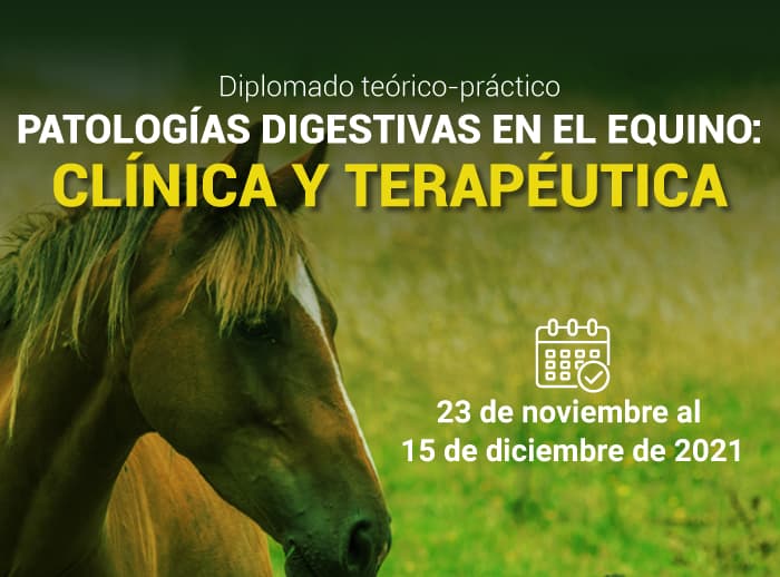 Diplomado-Teórico---Práctico-Patologías-Digestivas-en-el-Equino-Clínica-y-Terapéutica