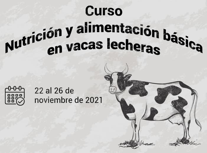 Curso Nutrición y alimentación básica en vacas lecheras