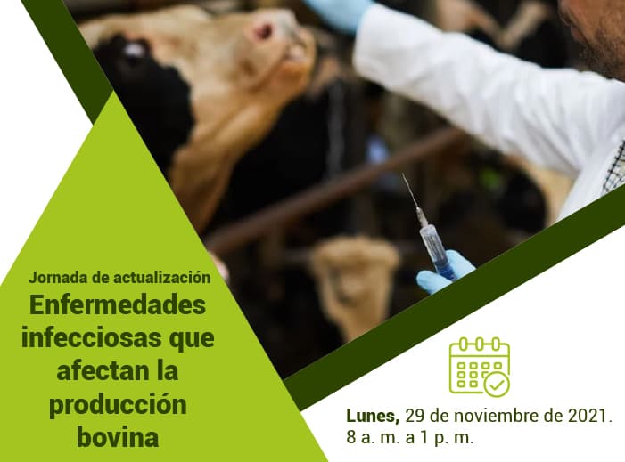 Enfermedades infecciosas y producción bovina