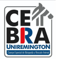 CEBRA