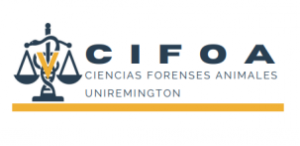 CIFOA