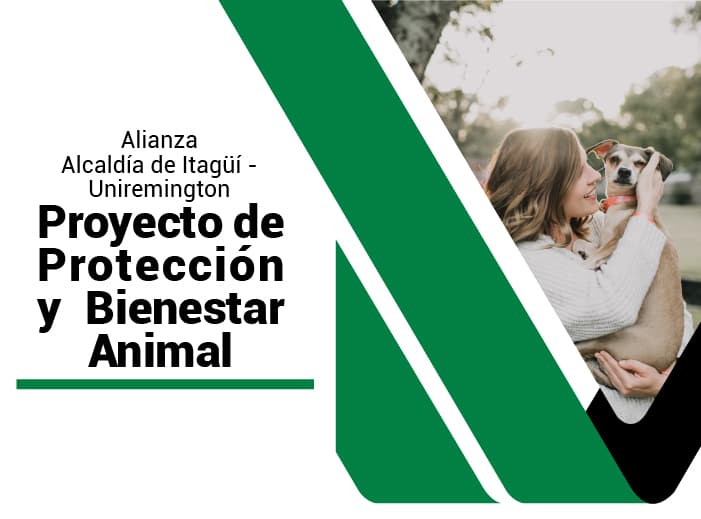 Proyecto de Protección