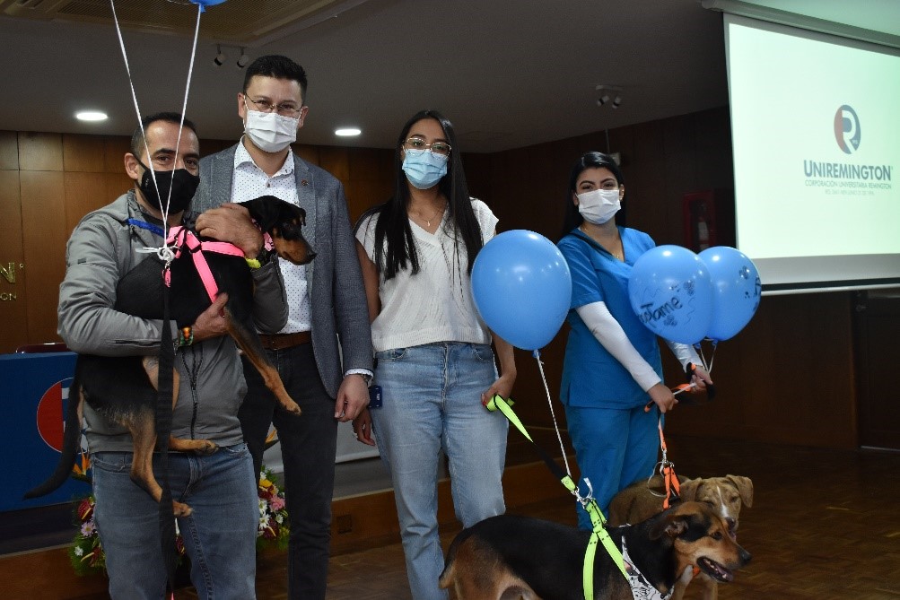 Protección animal en marcha