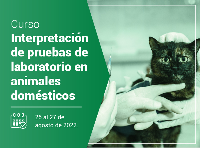 Curso Interpretación de pruebas de laboratorio