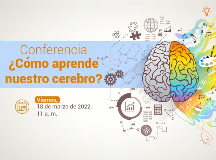 Web Cómo aprende nuestro cerebro