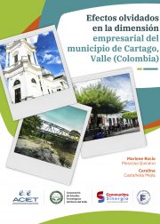 Efectos olvidados en la dimensión empresarial del municipio de