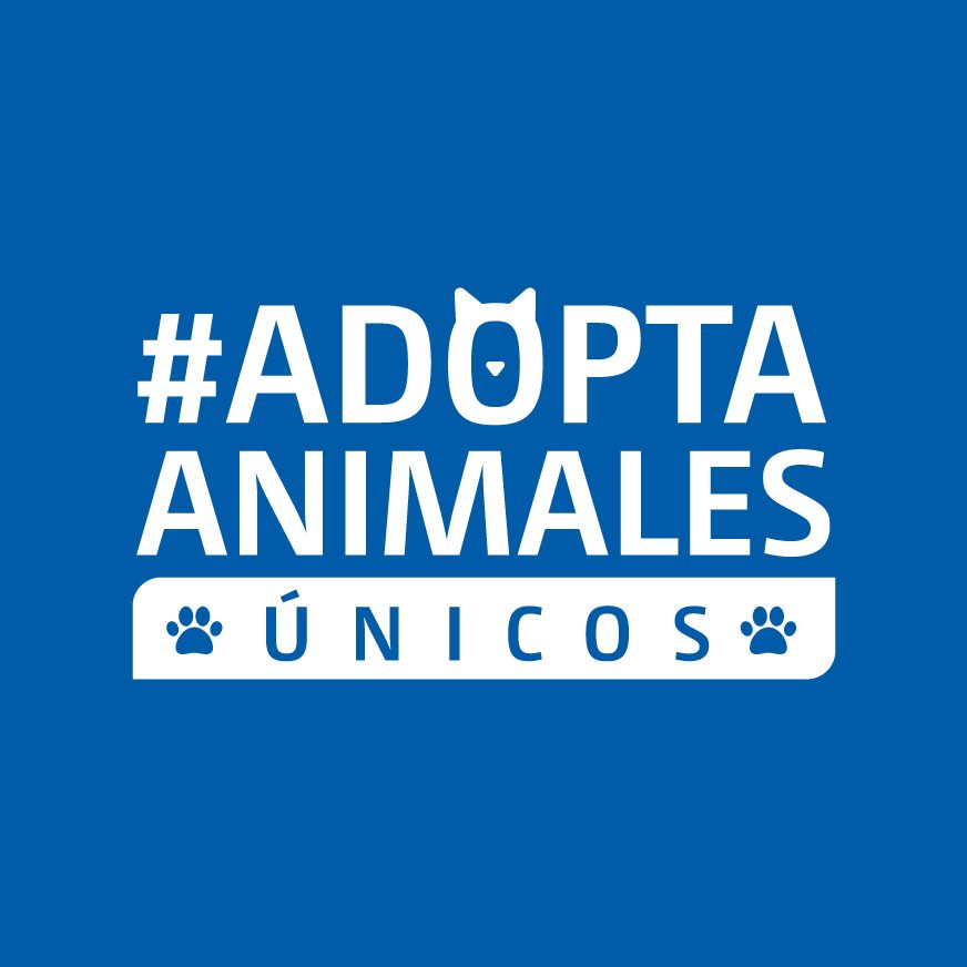 Logo adopta animales únicos