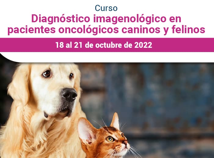 Diagnostico imagenológico