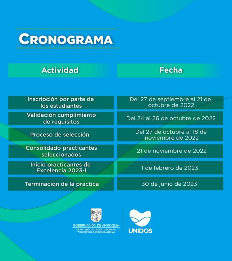 cronograma