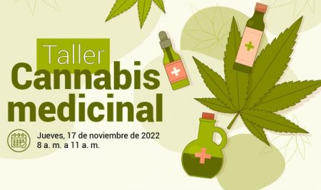 El cannabis medicinal y su efecto terapéutico
