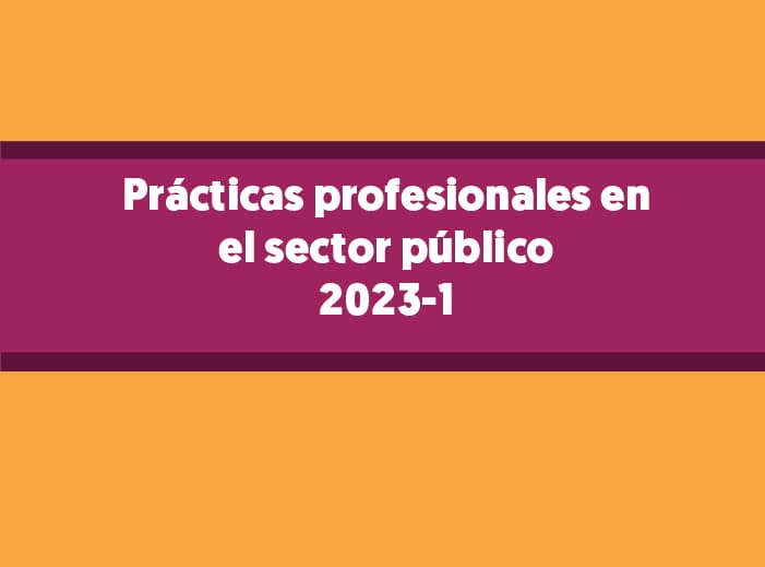 Practicas Profesdionales en el sector público