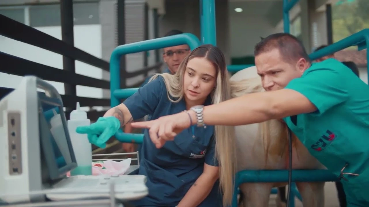 Miniatura del video