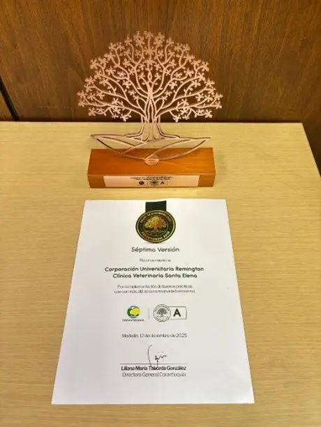 Imagen representativa del certificado de reconocimiento a Uniremington