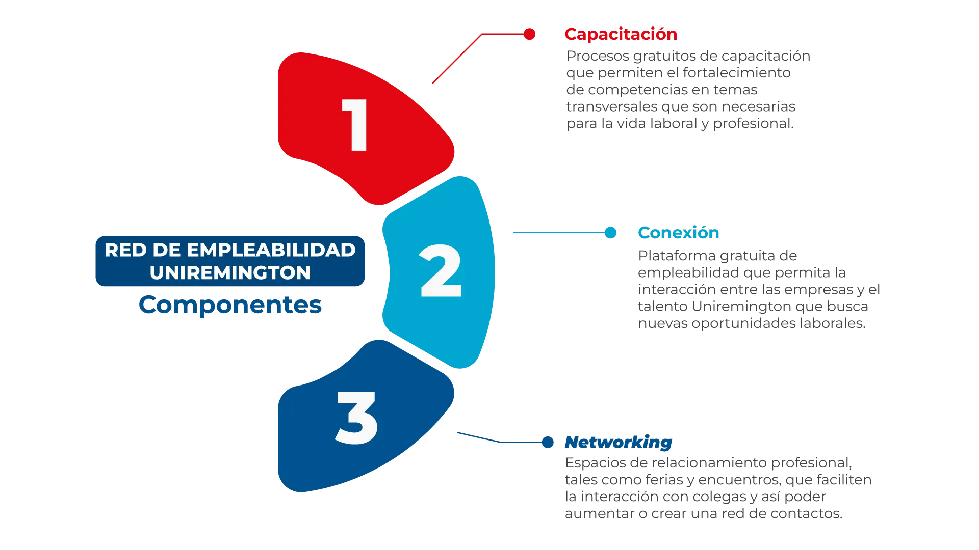 Componentes-de-la-Red-de-Empleabilidad-infografico
