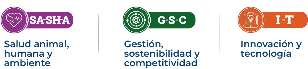 Focos temáticos de investigación