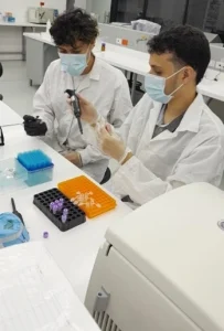 Motivación para la investigación