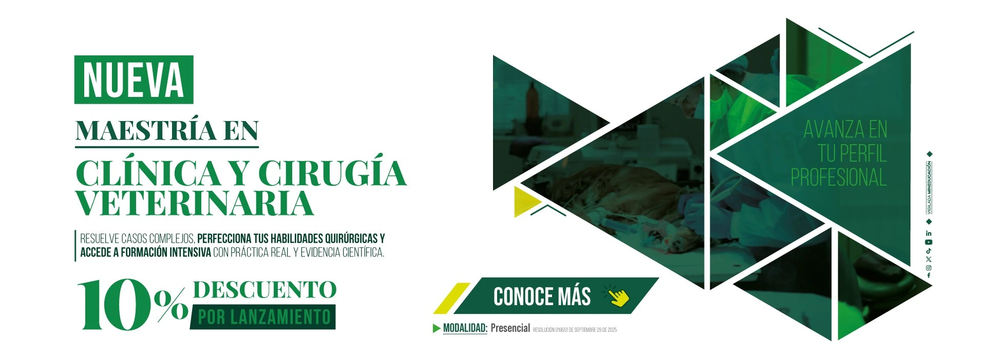 Maestria en Clínica y Círugia Veterinaria