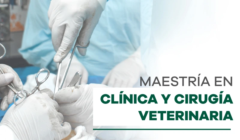 Estudia Derecho en Uniremington