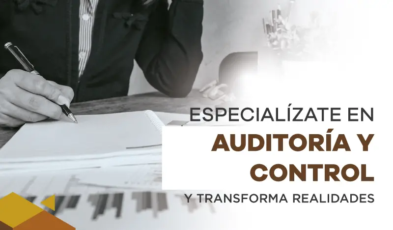 especialización en auditoría y control - interna