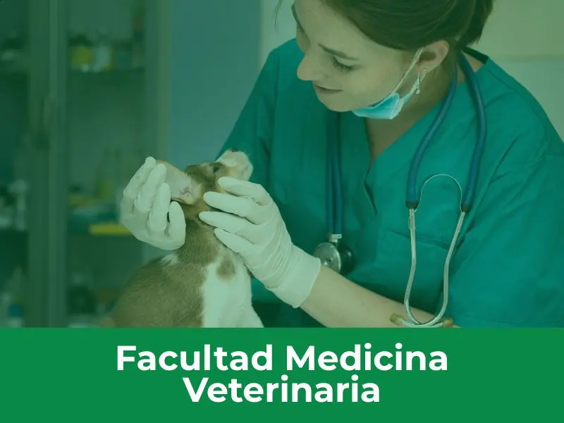 Grupos de investigación Facultad de Medicina Veterinaria Uniremington
