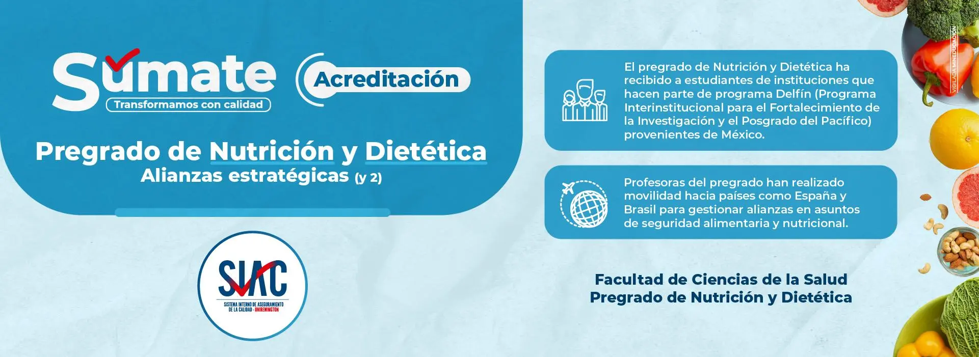 Pregrado en Nutrición y Dietética